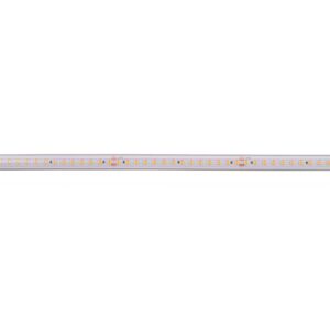 Light Impressions Deko-Light LED pásek, Long Run, SMD, 48V-10W, 2700K, 50m, silikon, konstantní napětí, 48V DC 10 W/m 1090 lm/m 50000 mm 840404